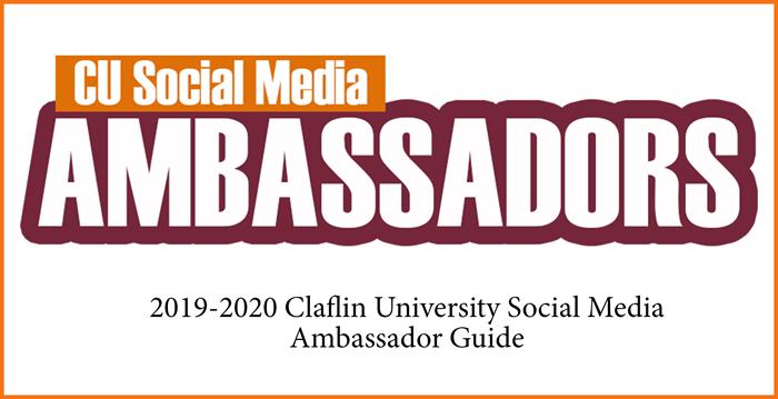 SM ambassador SM ambassador